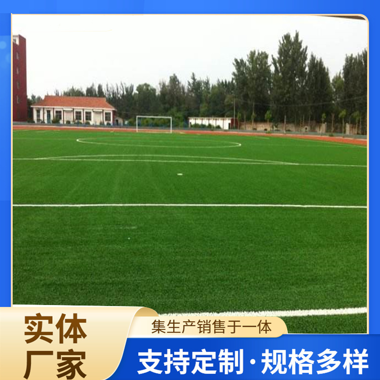 吉安市橡胶跑道人造草坪 - 价格